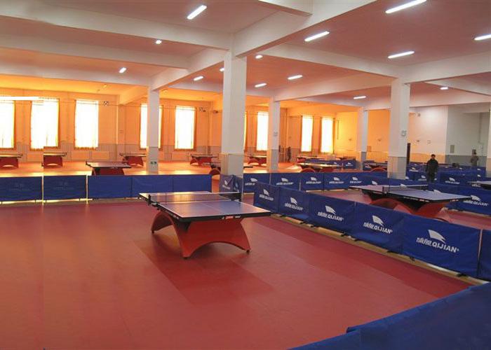 乒乓球場PU運(yùn)動地板